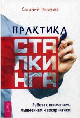 Черняев Евгений. Практика сталкинга. Работа с вниманием, мышлением и восприятием – фото 2