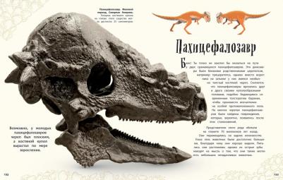 Чинсами-Тюран Анусия. Динозавры и другие доисторические животные. Энциклопедия – фото 1