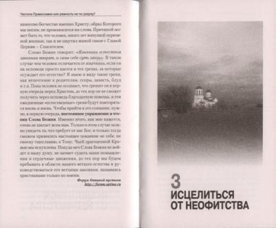 Чистота Православия или ревность не по разуму? – фото 1