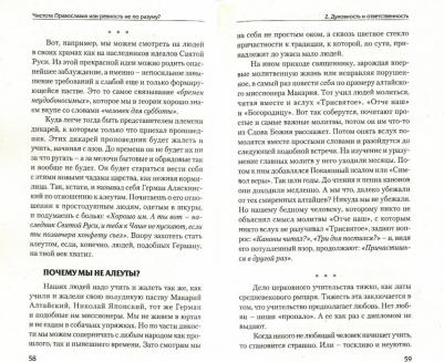 Чистота Православия или ревность не по разуму? – фото 2