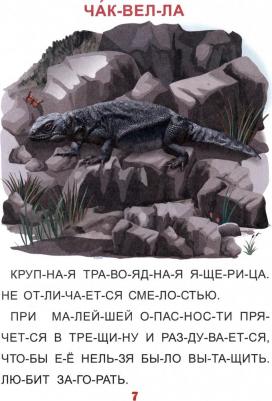 Читаем по слогам. Крупные буквы. Читалочки-познавалочки. Рассказы – фото 2