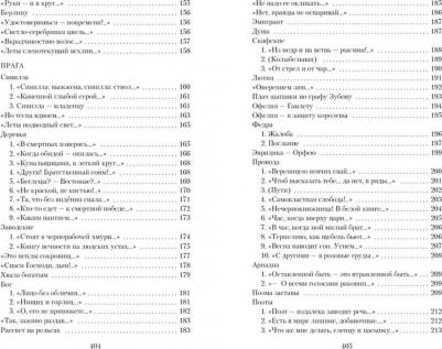 Цветаева Марина Ивановна. Лебединый стан – фото 4