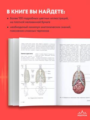 Даймон Теодор. Анатомия голоса. Иллюстрированное руководство для певцов, преподавателей по вокалу и логопедов – фото 3
