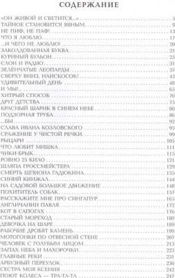 Денискины рассказы, Драгунский В.Ю – фото 6