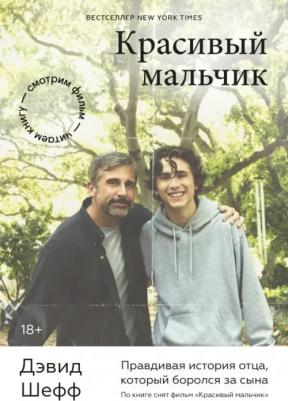 Дэвид Шефф. Красивый мальчик. Правдивая история отца, который боролся за сына