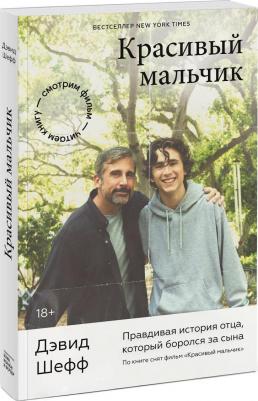 Дэвид Шефф. Красивый мальчик. Правдивая история отца, который боролся за сына – фото 2