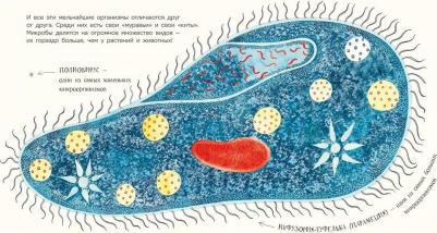 Дэвис Никола. Микро. Тайная жизнь невидимого мира – фото 4