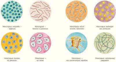 Дэвис Никола. Микро. Тайная жизнь невидимого мира – фото 5