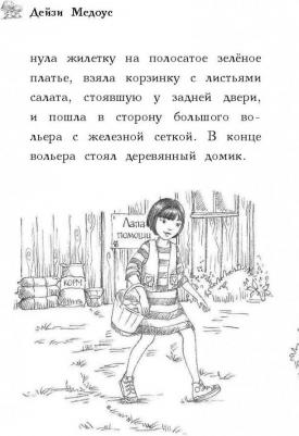 Дейзи Медоус. Крольчонок Люси, или Волшебная встреча – фото 14