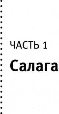 Диббелл Джулиан. Миллион играючи. Как я стал миллионером, торгуя виртуальными сокровищами – фото 6