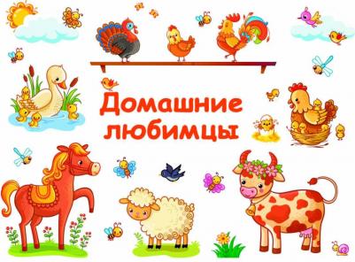 Домашние любимцы – фото 3