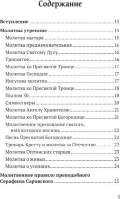 Домашние молитвы. На все случаи жизни и на каждый день – фото 3