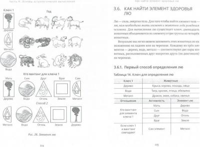 Доржи Лобсанг. Основы тибетской астрологии – фото 2