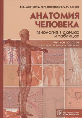 Дьяченко Екатерина Евгеньевна, Полянская Людмила Иосифовна, Катаев Станислав Иванович. Анатомия человека. Миология в схемах и таблицах. Учебное – фото 2