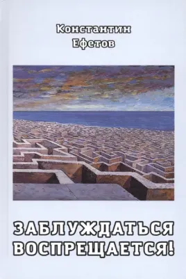 Ефетов Константин Александрович. Заблуждаться воспрещается!