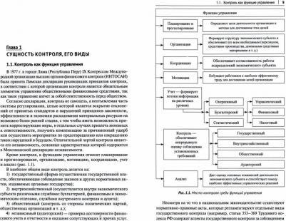 Егорова Ирина Сергеевна. Корпоративный финансовый контроль. Учебник – фото 3