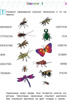 Егупова Валентина Александровна. Изучаю мир вокруг, для детей 5-6 лет. В 2-х частях. Часть 2 – фото 5