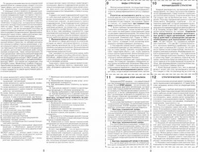 Елисеева Елена Владимировна, Лейни Т. Стратегический менеджмент – фото 3
