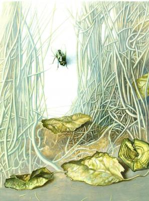 Емельянов-Шилович А. Золотые сказки – фото 7