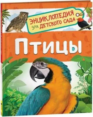Энциклопедия для детского сада Птицы Гальцева С. Н – фото 2