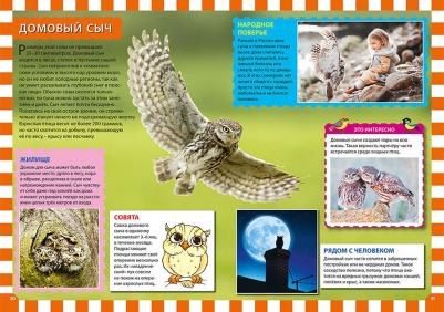 Энциклопедия птиц России для детей Феданова Ю – фото 6