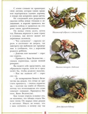 Эндрю Лэнг. Принцесса Ниенте в Волшебной Стране – фото 3