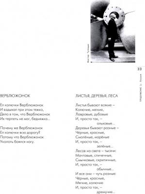 Ермолаев Александр Павлович, Халдеева Ольга Константиновна. Философия граничного существования – фото 3