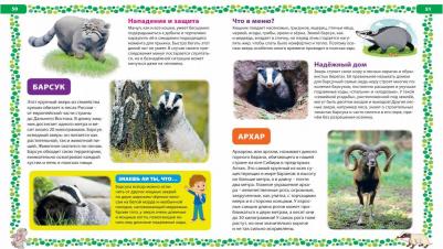 Феданова Юлия Валентиновна, Скиба Тамара Викторовна. Большая о животных. Иллюстрированная энциклопедия – фото 8