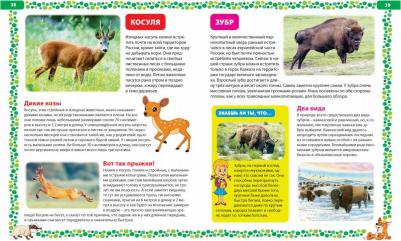 Феданова Юлия Валентиновна, Скиба Тамара Викторовна. Большая о животных. Иллюстрированная энциклопедия – фото 11