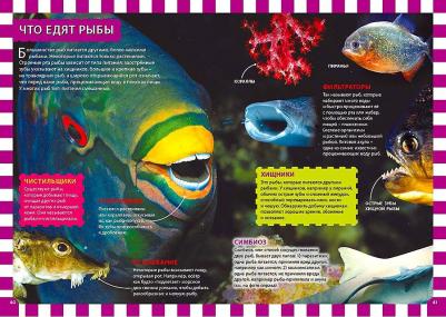 Феданова Юлия Валентиновна, Скиба Тамара Викторовна. Подводный мир – фото 10