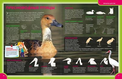 Феданова Юлия Валентиновна. Детская энциклопедия для школьников – фото 1