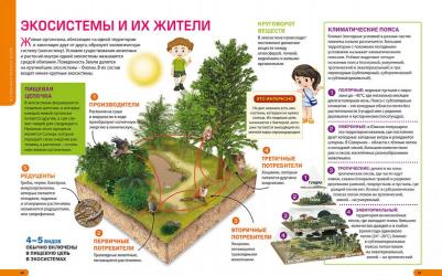 Феданова Юлия Валентиновна. Как устроены Вселенная и планета Земля. Детская энциклопедия – фото 4