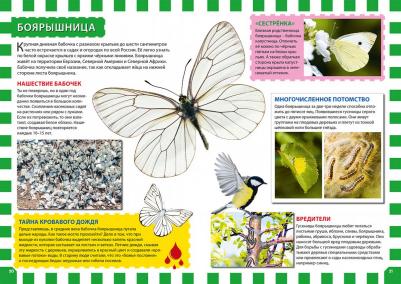 Феданова Юлия Валентиновна. Мир бабочек – фото 2