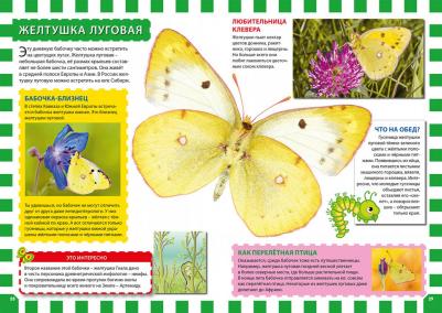 Феданова Юлия Валентиновна. Мир бабочек – фото 7