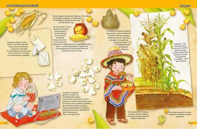 Феданова Юлия Валентиновна. Обо всём на свете. Иллюстрированная энциклопедия – фото 8