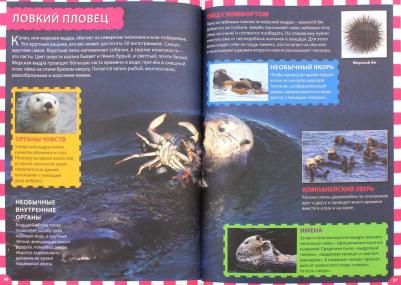 Феданова Юлия Валентиновна. Животные мира – фото 6