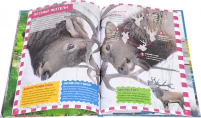 Феданова Юлия Валентиновна. Животные мира – фото 9