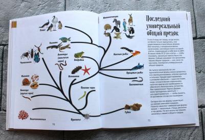 Фелисия Ло, Джерри Бэйли. История жизни на Земле. От бактерии до человека – фото 2
