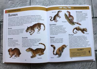 Фелисия Ло, Джерри Бэйли. История жизни на Земле. От бактерии до человека – фото 6