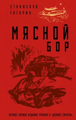 Гагарин Станислав Семенович. Мясной Бор