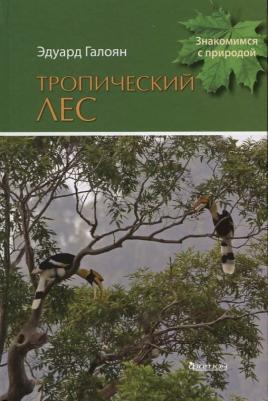 Галоян Эдуард Арташесович. Тропический лес – фото 4