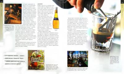 Гаснье Винсент. Спиртные напитки – фото 2