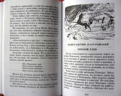 Гайдар Аркадий Петрович, Паустовский Константин Георгиевич, Житков Борис Степанович, Зощенко Михаил Михайлович, Астафьев Виктор Петрович, Пермяк – фото 7