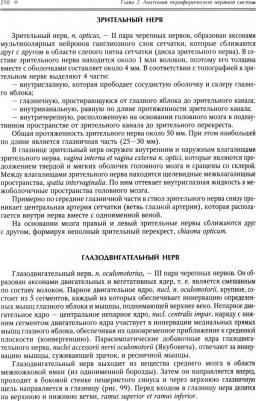 Гайворонский Иван Васильевич. Нормальная анатомия человека. Том 2 – фото 1