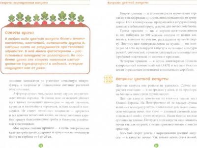Геннадий Распопов. Картофель и капуста на эко грядках. Урожай без химии – фото 2