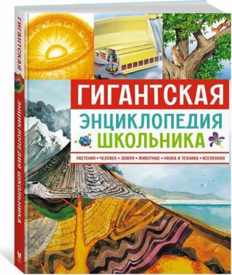 Гигантская энциклопедия школьника – фото 1