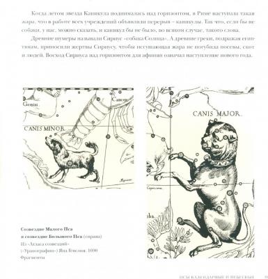 Голь Николай Михайлович, Халтунен Мария Борисовна, Мамонова Ирина Вячеславовна. Боги, люди, собаки – фото 2