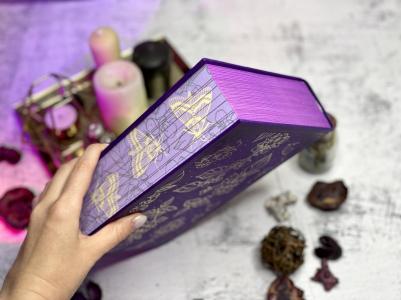 Гор Анастасия. Ковен озера Шамплейн. Трилогия – фото 5