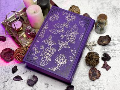 Гор Анастасия. Ковен озера Шамплейн. Трилогия – фото 12