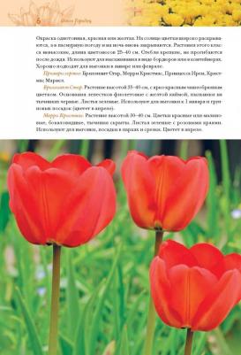 Городец Ольга Владимировна. Тюльпаны. Лучшие сорта для вашего сада – фото 1